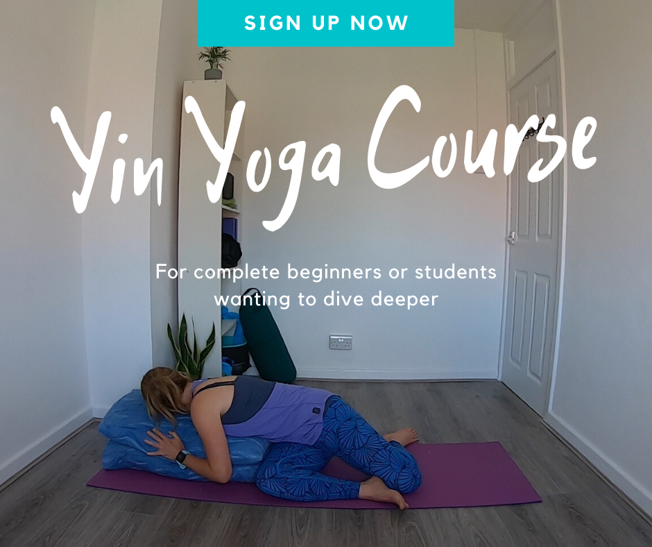 Yoga of the Joints: Yin Yoga Online Course for Beginners - Yoga